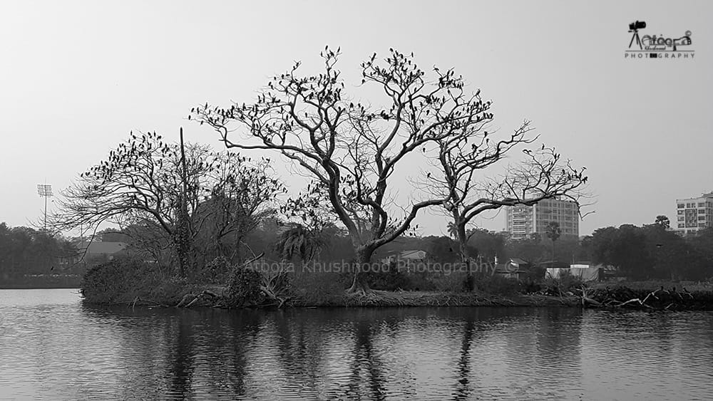 Nature Photoshoot