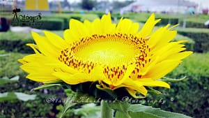 Science City Kolkata