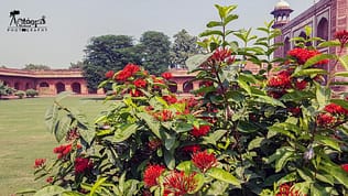 20161018_105704