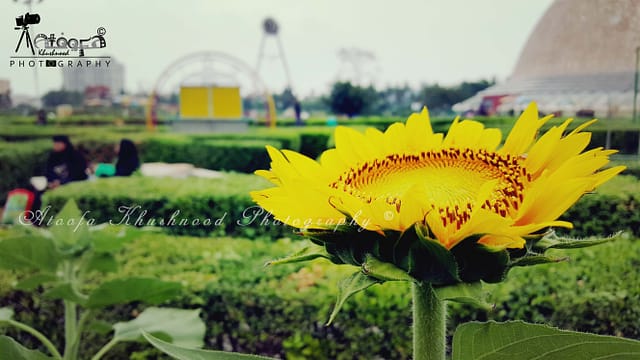 Science City Kolkata
